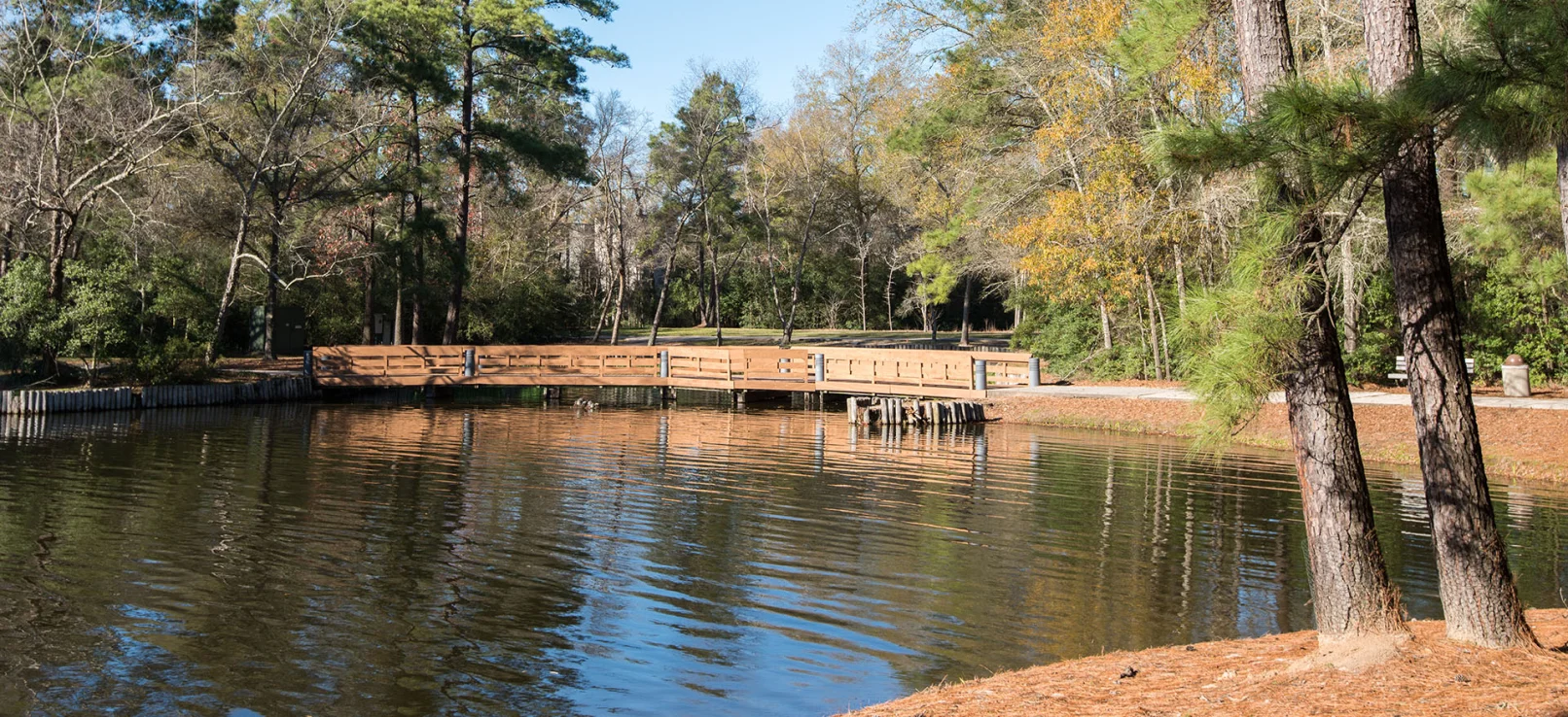 Water Renewal The Woodlands